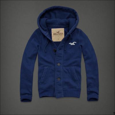 Hollister Men Hoodies-106